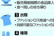 小泉進次郎環境大臣｢環境に優しい事した人にポイント上げます！｣