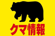 【北海道札幌】「親子クマが木の実を食べている」と通報