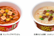 投げ売り前提商品かよ　〜　人気の韓国グルメがどん兵衛に!「日清のどん兵衛 スンドゥブチゲうどん」「日清のどん兵衛 ソルロンタン風うどん」が発売