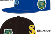 福岡ソフトバンクと横浜DeNAの帽子が同時発売するもなぜかソフバンだけ値段が倍以上ｗｗｗｗｗｗｗｗｗ