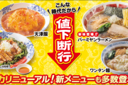【朗報】 バーミヤンは値下げ