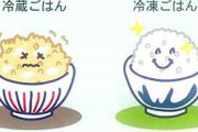 ご飯を冷蔵するとデンプンが劣化する！？ご飯の保存は冷凍で！