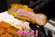【悲報】ヒカキンさんレアすぎるトンカツを作ってしまい無事炎上ｗｗｗｗｗｗｗｗｗｗｗｗｗｗｗ