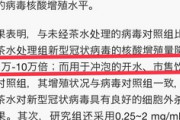 【朗報】医療機関「緑茶がコロナウイルスに最も効く」説。