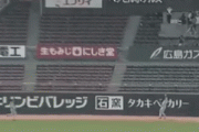 【GIF】昨日の巨人･丸の守備…