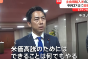 【朗報】進次郎、米価をさらに爆下げへ　
