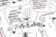 「アシダカグモ」どこからともなく現れ半年でゴキブリを全滅させ、また次の戦場へ旅立つ英雄だった…