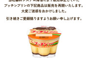 江崎グリコの「プッチンプリン」が4カ月ぶりに出荷再開  [8/13]