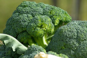 ブロッコリーってかなり栄養価高いらしいけど