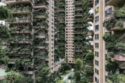 【中国】「都会の楽園」のはずが…緑あふれる集合住宅、蚊の来襲でほぼ無人にｗｗｗｗｗ
