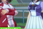 【ウマ娘】シリウスシンボリが実装されたら女性人気が凄そうだな