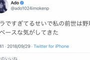 Adoちゃん「エラですぎてるせいで私の前世は野球のベースな気がしてきた」