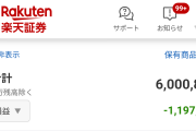 【画像】新NISAで投資信託をしてみた結果wwwwwwwwwwwwwwww