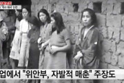 #韓国記事翻訳　『慰安婦は自発的‥大学教授また歴史歪曲』、『韓国の名誉の為に強制追放にして死刑にしろ』