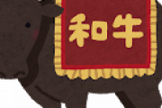 日本の和牛は過大評価されている？「高くてもウマイ！」「オーストラリア牛肉とは全然違う」海外の反応
