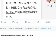 【悲報】出所した漫画村運営者「海賊党党首に俺はなる！！ドンッ！！」