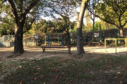 【朗報】ワイニート、公園で子供達を監視するｗｗｗｗｗｗ