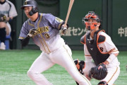 大山悠輔(22).237 7本 38点 OPS.723