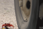 【閲覧注意】タイヤ事故gif画像集めてみた