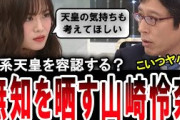 【山崎怜奈が無知を晒す】女系天皇を容認？元乃木坂の山崎怜奈が竹田恒泰を前に無知を晒す【手軽に国会中継】