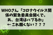 【悲報】WHOさん「コロナウイルス関係の緊急委員会開くで。あ、台湾はハブるわ」← これ酷くない？？？
