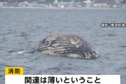 「ガスのような異臭がする」横須賀で通報が相次ぐ…三浦半島では先月も異臭騒ぎ！