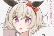 【ウマ娘】カレンがいるのに…どうして…？