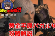 【FF14】10分でわかる！？パッチ5.5新ID「黄金平原 パガルザン」攻略解説動画のご紹介！