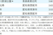 【画像】2020年度版、汚い海水浴場ランキングがコチラｗｗｗｗｗｗｗｗ