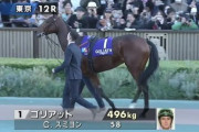 ゴリアット2年連続JC参戦確定＆有馬へも転戦へ