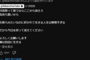【悲報】ヒカル「オープンマリッジ宣言します」→1日で登録者10万人が減る大記録を達成
