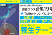 養生テープ 台風対策で売り切れ続出！！ その効果を専門家が解説