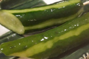 きゅうりが本当に美味しいと思えるのってお漬物だけだよな