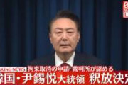 【朗報】韓国さん、尹釈放でお祭り状態