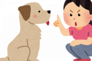 サトシ「ピカチュウ！かわせ！！」←これおかしいだろ