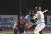 交流戦3試合でのセパ別与死球数が明らかに異常…