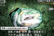 【北海道】サケ密漁　ベトナム人ら４人逮捕　「トクリュウ（反社闇バイト組織）」の犯行か