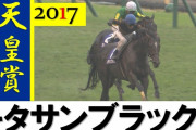 日本競馬史上最もスタミナ高い馬