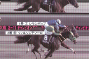 【チャンピオンズC】ウィルソンテソーロ、ハナ差で敗れる