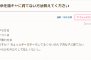 【悲報】ママ「子供を『陰キャ』に育てない方法を教えて！リア充に育てたい」