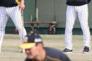 阪神・矢野監督が西純に密着指導　身振り手振り交えブルペン投球の右腕にアドバイス