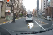 【動画】アホすぎる事故映像…