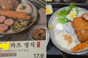 朝鮮人というだけで説明がつく　〜　【トンカス店】 メニュー写真は5切れなのに実物は2切れ…韓国・店員は「写真が間違っている」