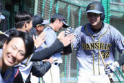 阪神2軍　練習試合でルーキーら躍動、井上アーチに小野寺、遠藤が安打