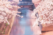 春の川、桜が満開です。本当に綺麗。日本の春は美しいです。さまざまの　こと思ひ出す　桜かな