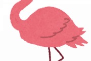 フラミンゴとかいうなぜかポケモン化していない生き物ｗｗｗｗｗｗ