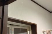 【悲報】ワイジ､家のトイレを詰まらせて家が大洪水ｗｗｗｗｗｗｗｗ