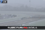 中山競馬、降雪のため開催中止に