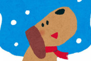 イッヌが永遠と雪を食べるんだけどええんかこれ・・・？