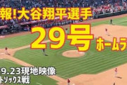 海外の反応：大谷翔平が29号2ランホームラン！月間最多更新の134m弾にエ軍監督「毎日ワオと言ってしまう」ファン「一日だけ人間になったと思ったら…」